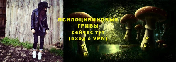 дживик Алексин