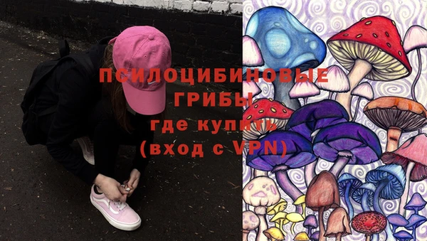 метадон Алексеевка